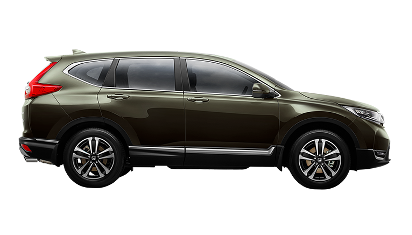 Dark Olive Metallic