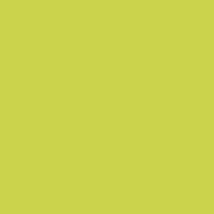 Electric Lime Metallic
